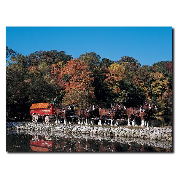 Clydesdales in Fall by Stone Pond- 18 x 24 Canvas, 18x24, Trademark Fine Art, Mfr#: AB266-C1824GG